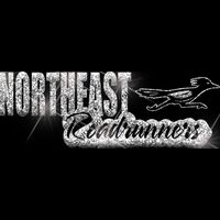 GLT1 SILVER GLITTER Thumbnail